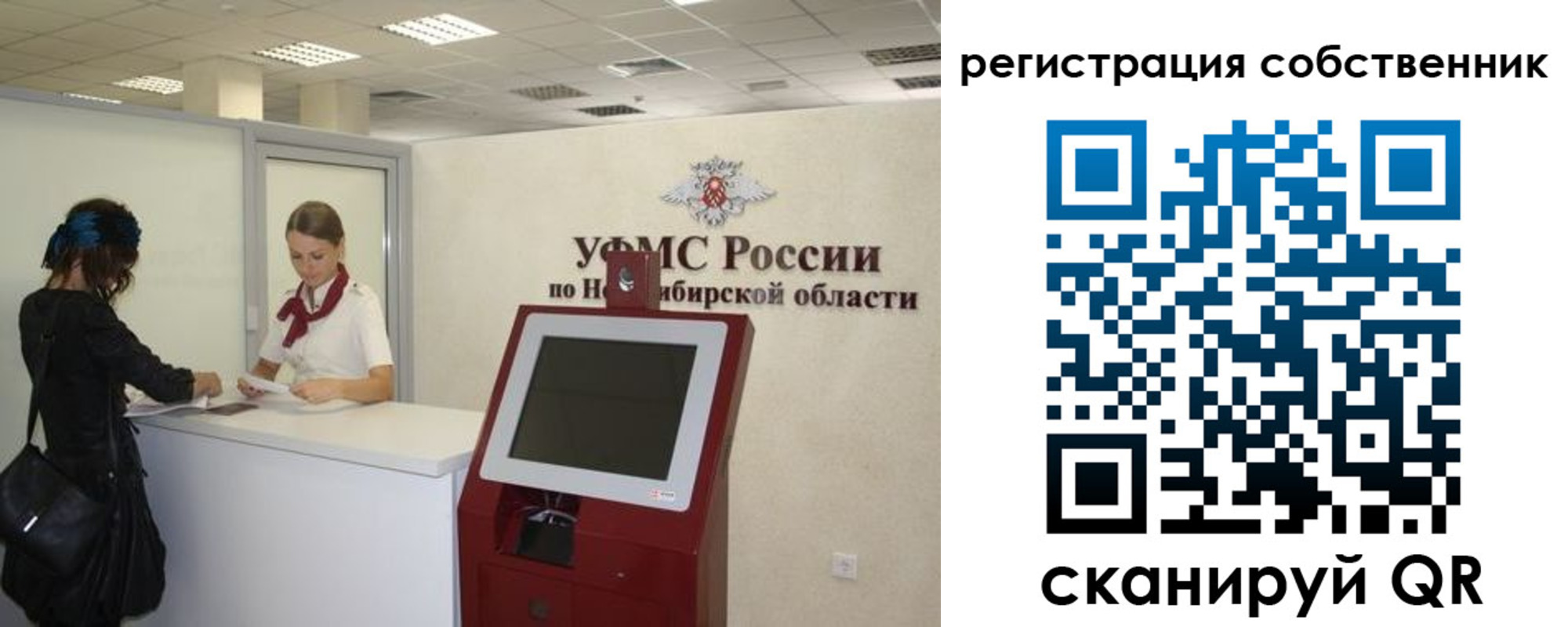прописка поиск в Ельне